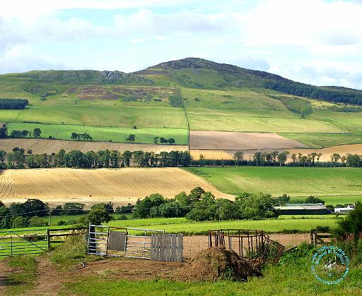 Scottish Borders Rubers Law 8K017D-09.JPG